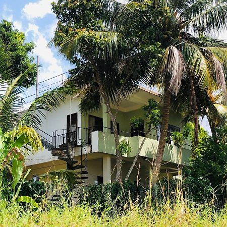 Rice Field View Home Stay タンガラ エクステリア 写真