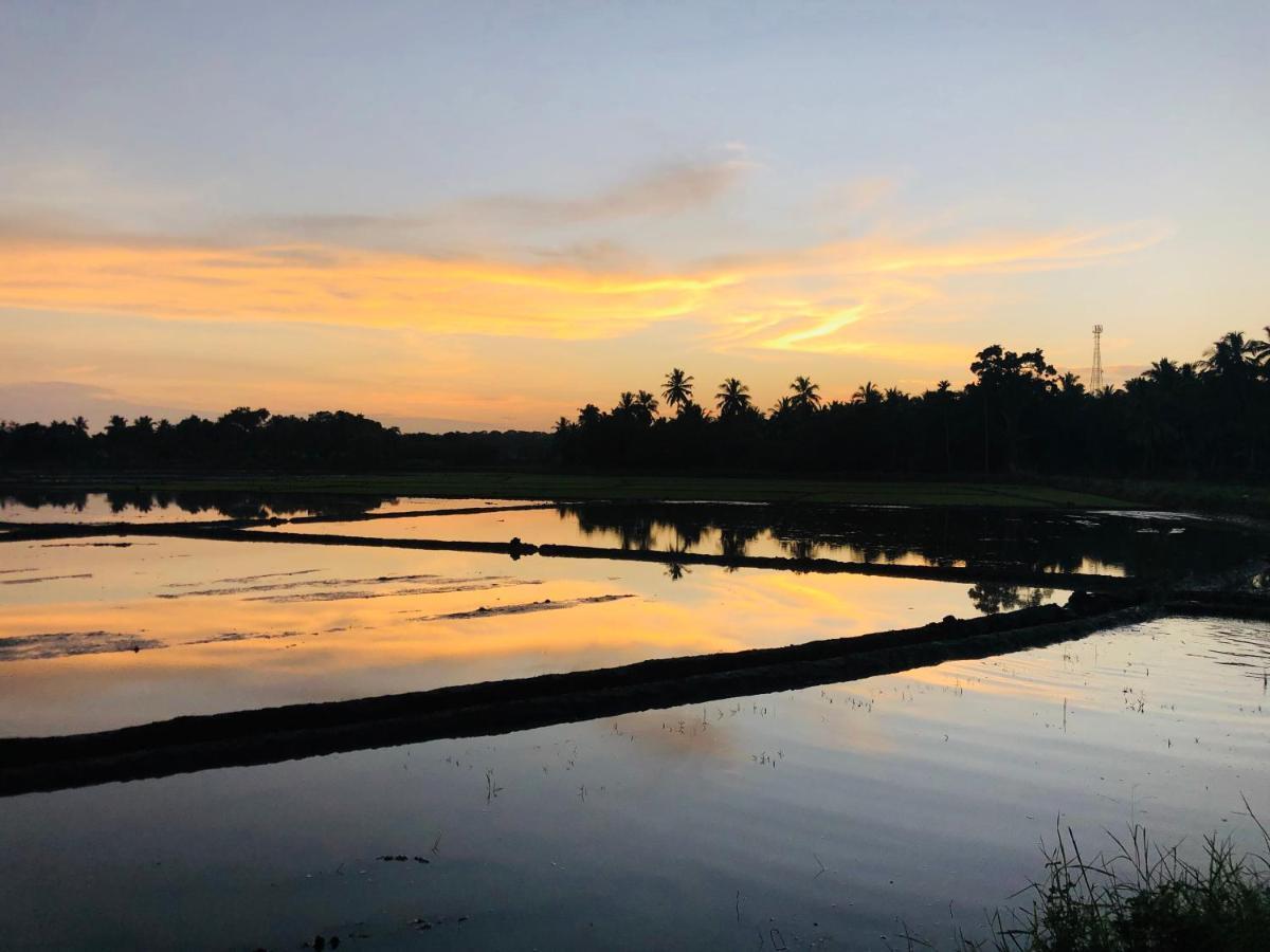 Rice Field View Home Stay タンガラ エクステリア 写真